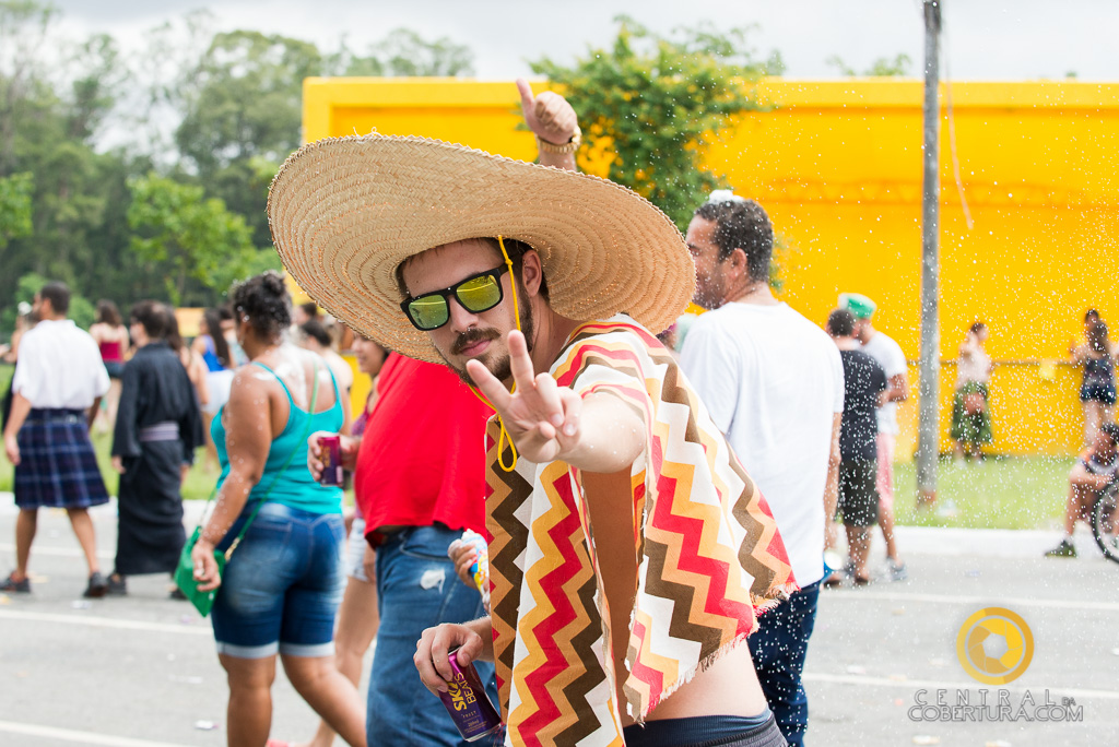 Bloco Bicho Maluco Beleza 2018